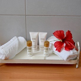 Bathroom amenities