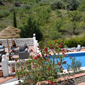 Top view on pool and sun terrace