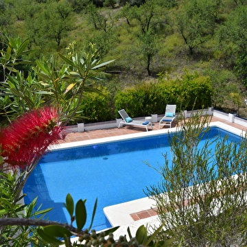 Pool, lounge area and sun terrace