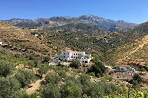 Top 12 activities while staying at Cortijo La Zapatera