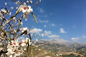 Walks & hikes in the Axarquía region